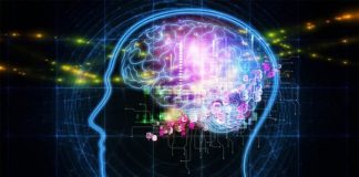 Yeni Cihaz Biyolojik Hafızayı Taklit Ediyor beyin taklidi