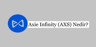 Axie Infinity (AXS) Nedir?