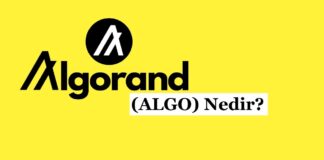 Algorand (ALGO) Nedir?