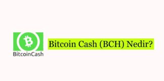 Bitcoin Cash (BCH) Nedir?
