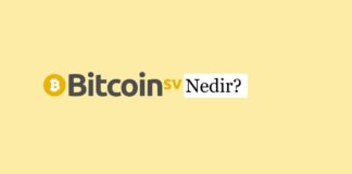 Bitcoin SV (BSV) Nedir?
