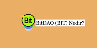 BitDAO (BIT): Merkezi Olmayan İşletme ve Yatırım Ağı