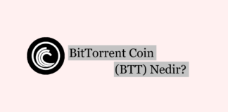 BitTorrent Coin (BTT) Nedir?