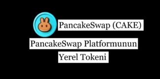PancakeSwap (CAKE) Coin: PancakeSwap Platformunun Yerel Tokeni