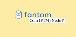 Fantom Coin (FTM): Fantom Blok Zinciri Ekosisteminin Yakıtı