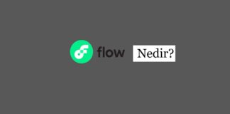 Flow (FLOW) Nedir?