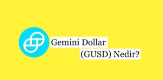 Gemini Dollar (GUSD) Nedir?