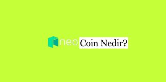 NEO Coin Nedir?