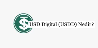 USD Digital (USDD) Nedir?