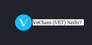 VeChain (VET) Nedir?