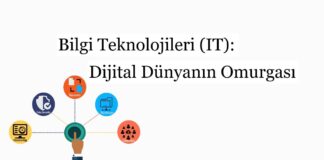 Bilgi Teknolojileri (IT): Dijital Dünyanın Omurgası