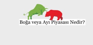 Boğa veya Ayı Piyasası Nedir?