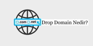 Drop Domain (Düşen Alan Adı) Nedir?