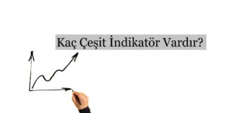 Kaç Çeşit İndikatör Vardır?