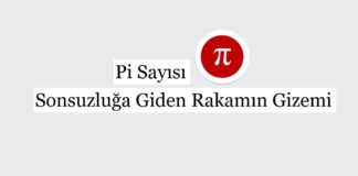 Pi Sayısı: Sonsuzluğa Giden Rakamın Gizemi